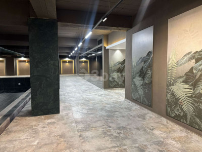 WhatsApp Image 2025-04-29 at 09.58.05.jpeg